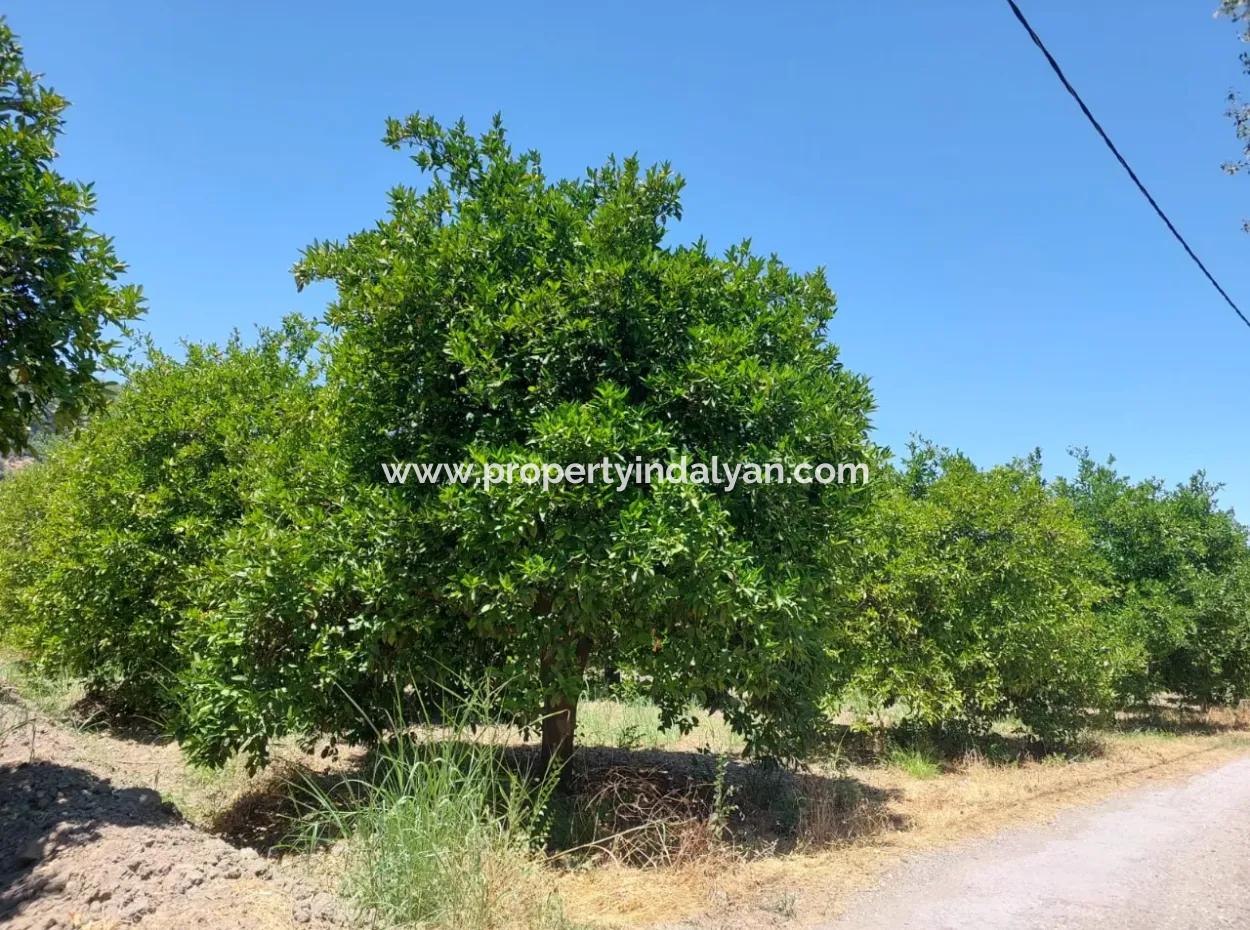 Muğla, Ortaca, Okçular Da, 1015, 69 M2, Detached Land Land Is For Sale.