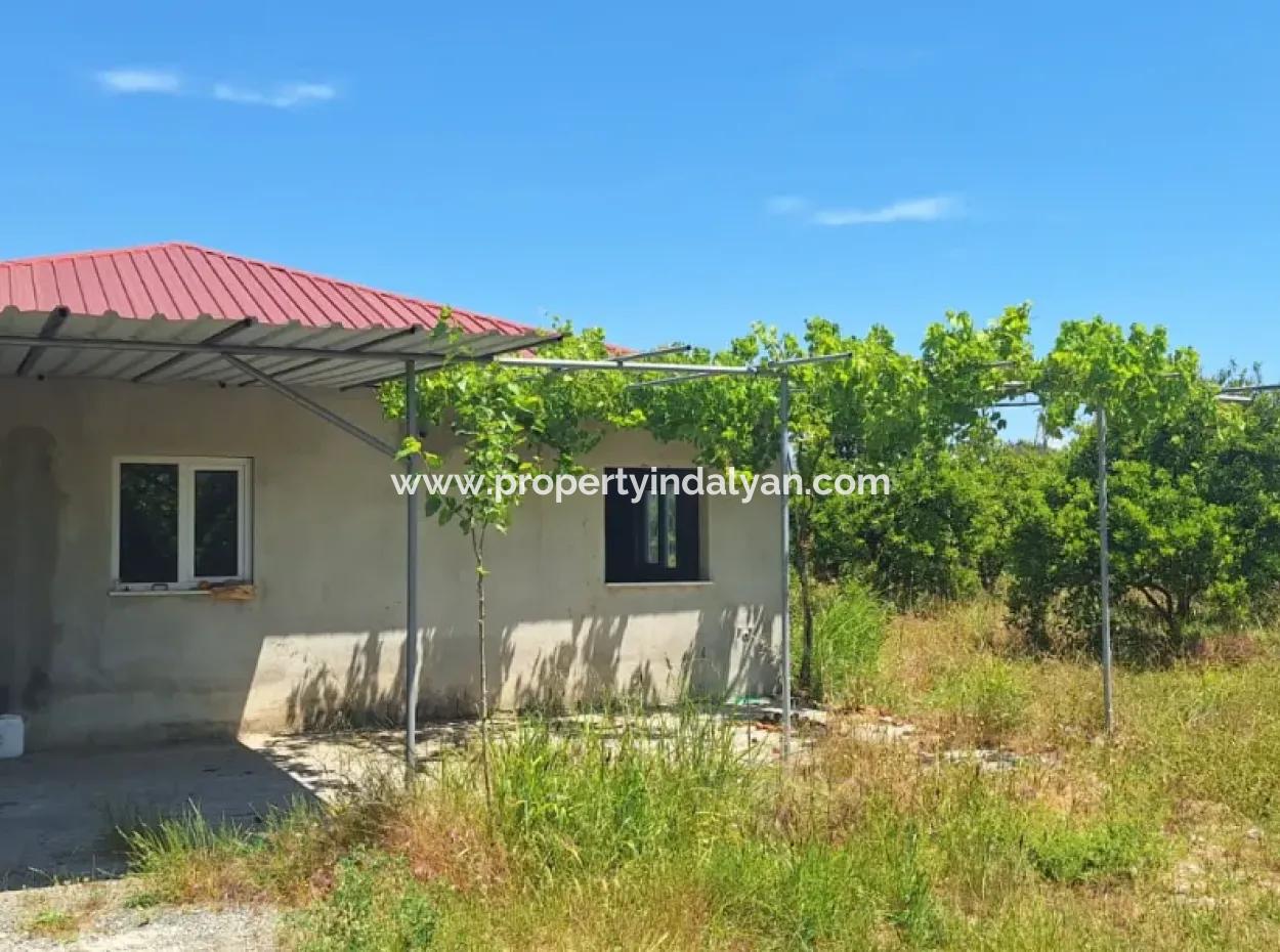 3 1 Village House For Sale In 17.000 M2 Orange Garden In Köyceğiz Toparlar