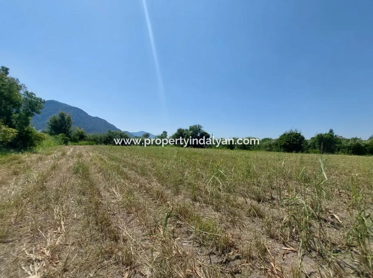 20.600 M2 Of Land In Ortaca Dalyan, 250 M2 Of Detached Land With The Right To Build A House Is For Sale