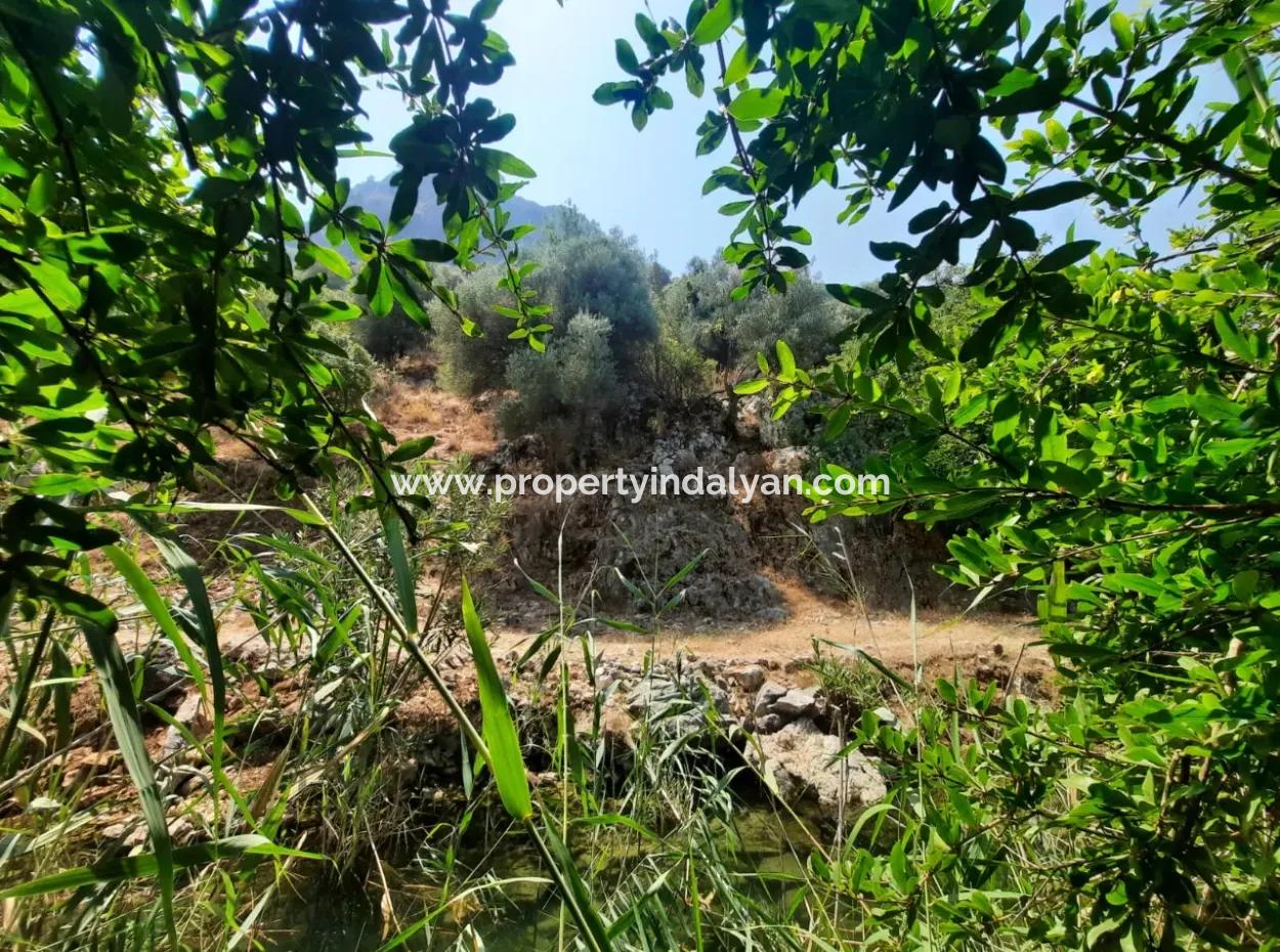 Muğla Dalyanda Mountain Zero, Waterside 10 500 M2 Pomegranate Garden For Sale