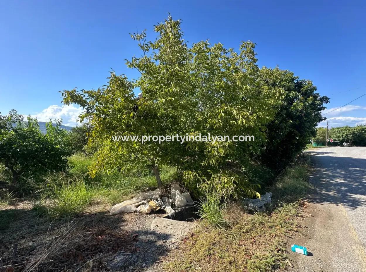 1129 M2 Zoned Land For Sale In Ortaca Dalaklı