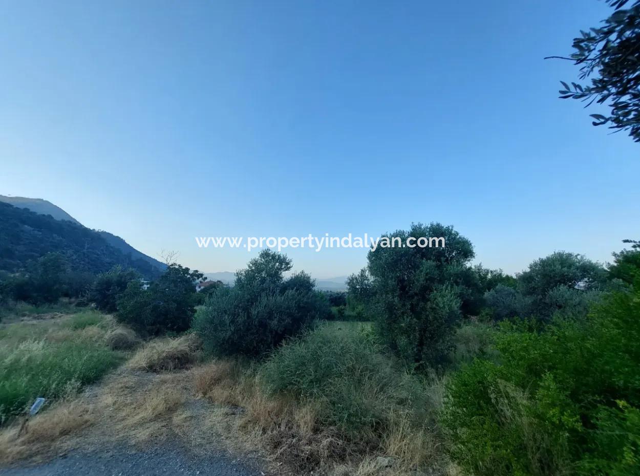 700 M2 Land With Lake View Construction Right In Köyceğiz, Yeşilköy For Emergency Sale