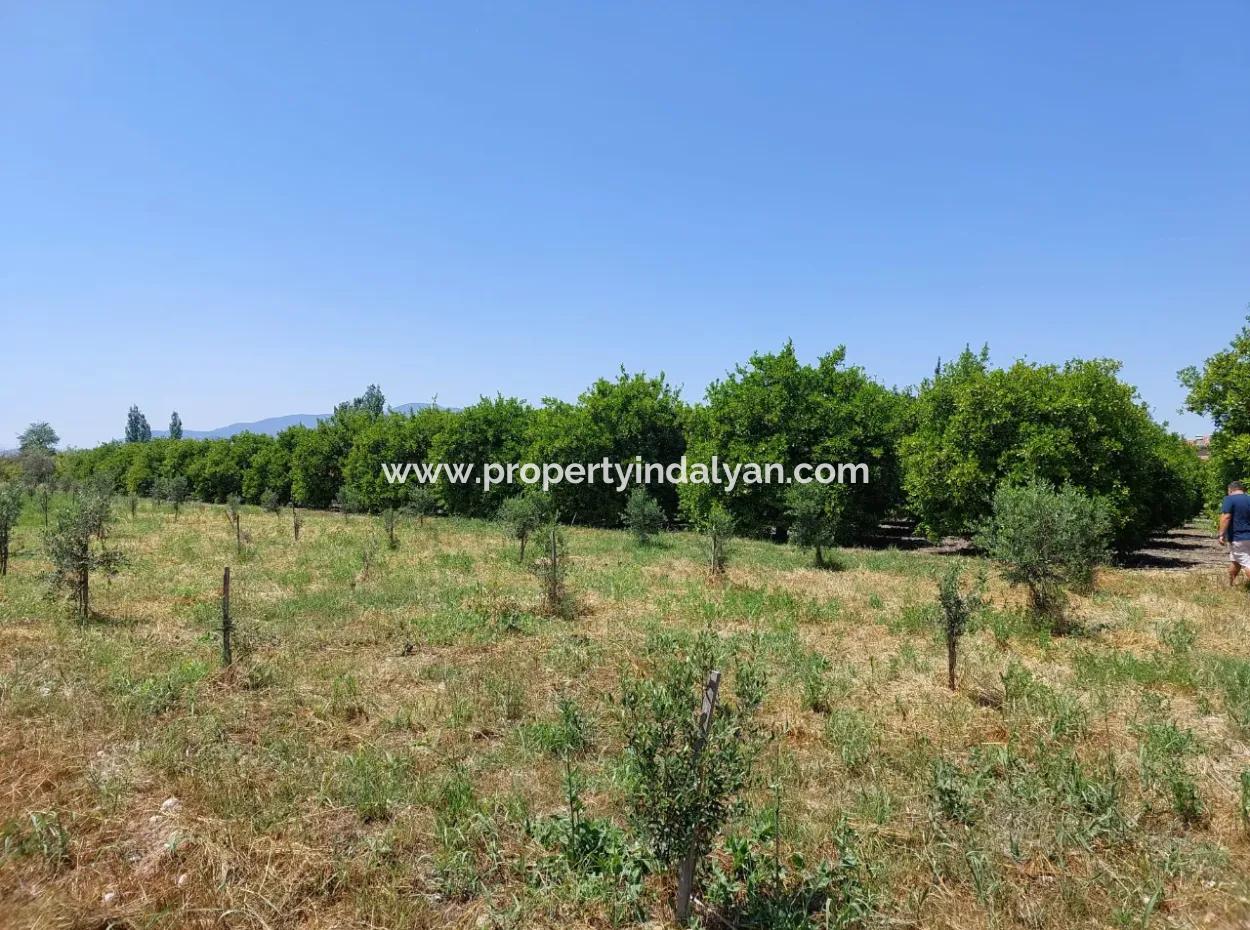 550M2 Share Land For Sale In The Built-Up Area Of The Village In Ortaca Kemaliye