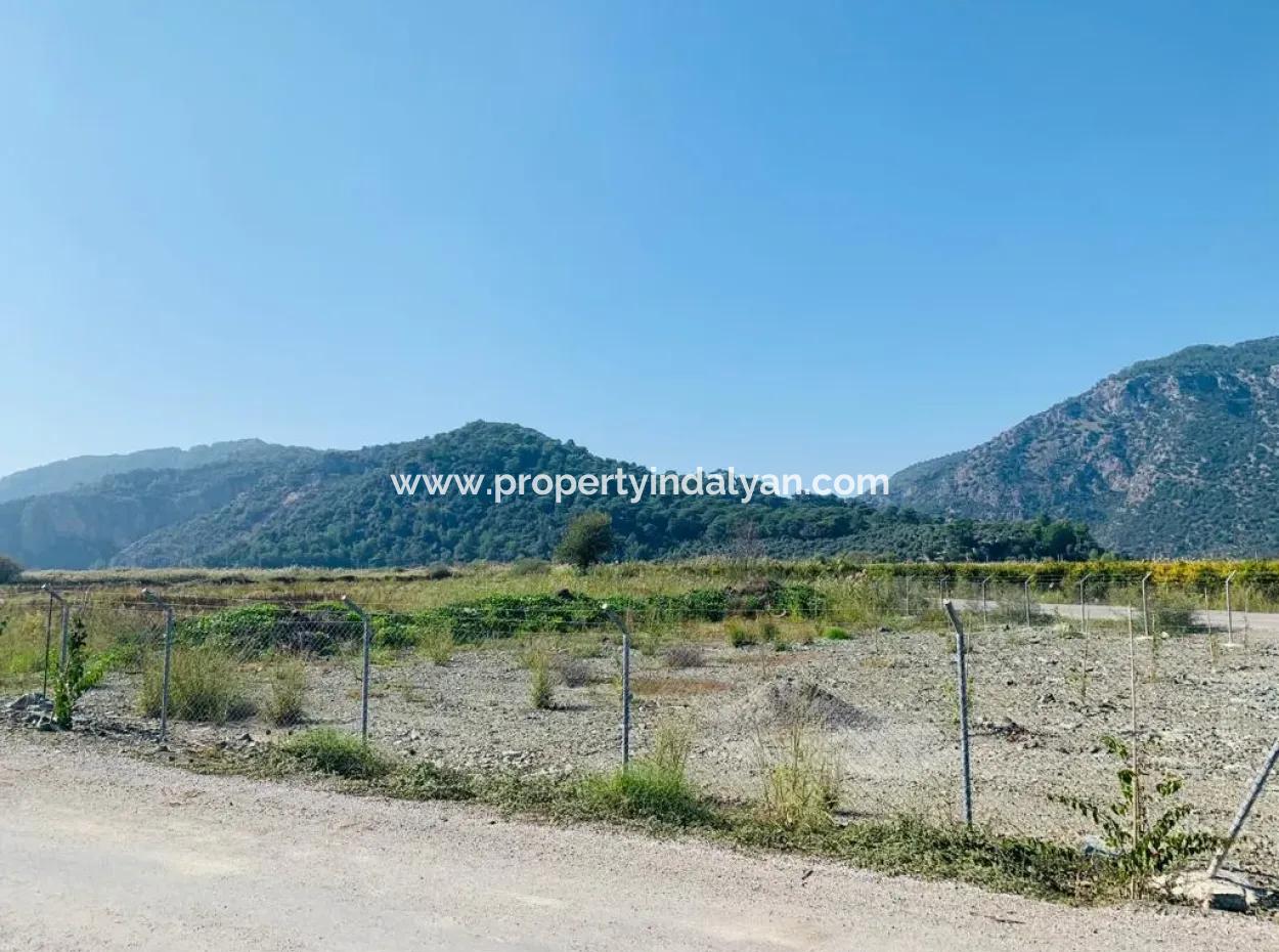 Fields Suitable For Cooperative In Ortaca Güzelyurt Are For Sale