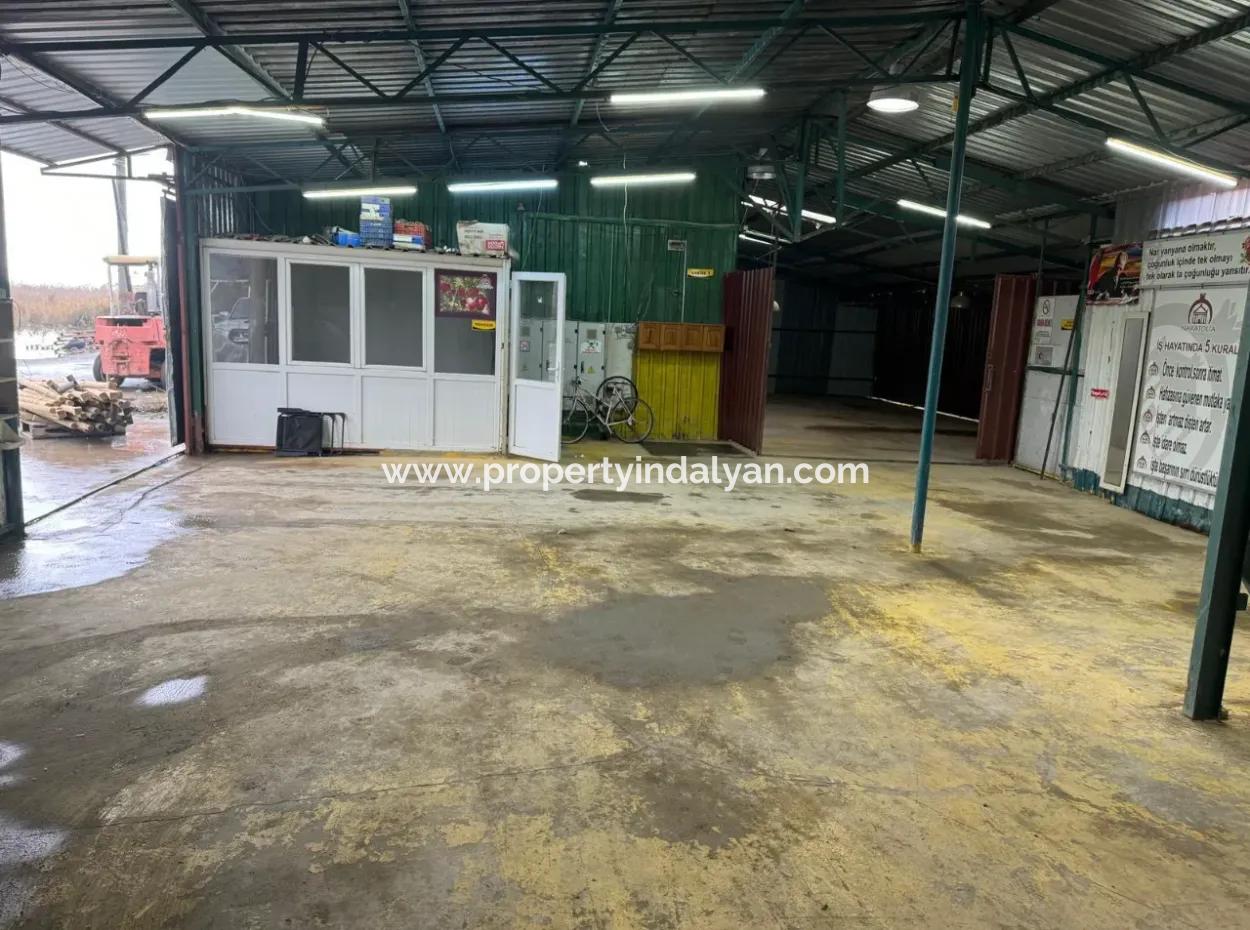 Muğla Ortaca 250M2 Warehouse For Rent In Dalyan