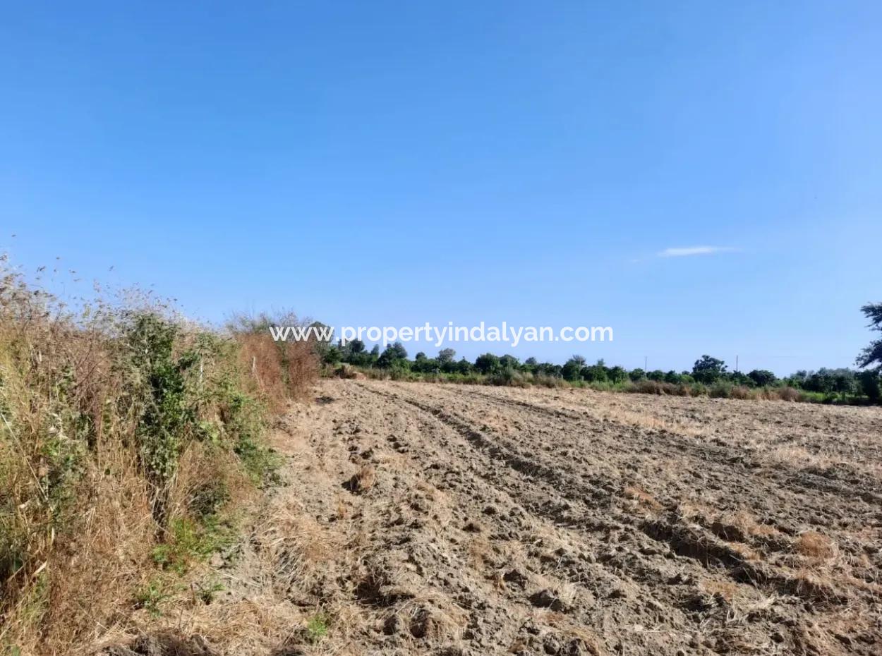 Oriya Fevziye Land For Sale In Zero Road