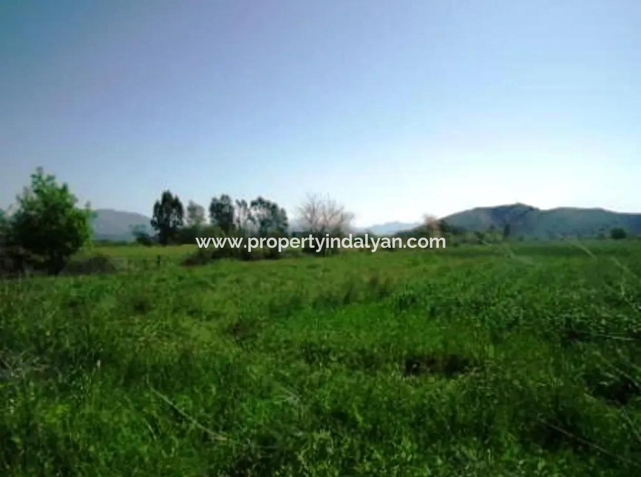 Oriya Raider Fertile Land For Sale 30 000 M2