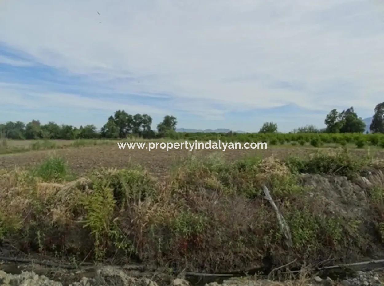 Also Suitable For Investment 31,175 M2 Land For Sale In Koycegiz Up