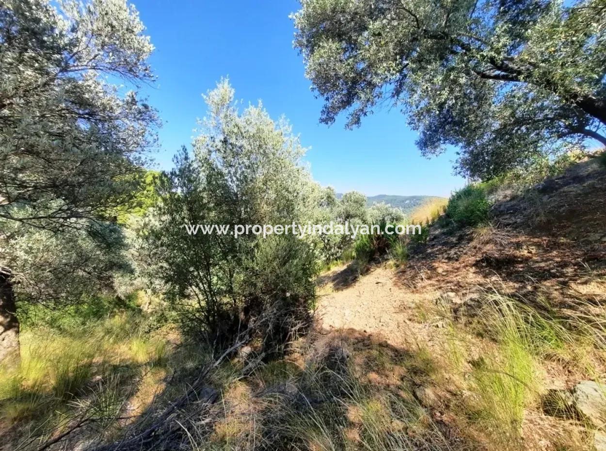 400 M2 Plot For Sale Bargain Ortaca Sarıgerme