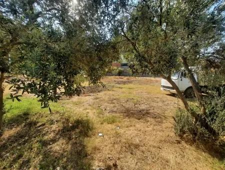 Bargain Plot For Sale In Ortaca Çaylı