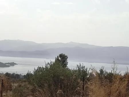 Detached Land With Lake Views For Sale In Köyceeğiz Zeytin Area