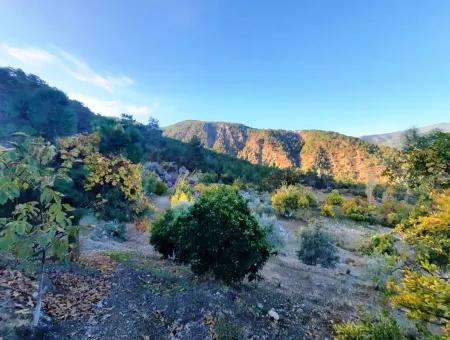 Mugla Dalaman Narli 1800 M2 Bargain Land For Sale