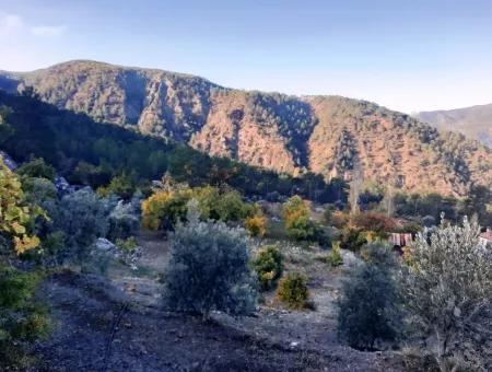 Mugla Dalaman Narli 1800 M2 Bargain Land For Sale