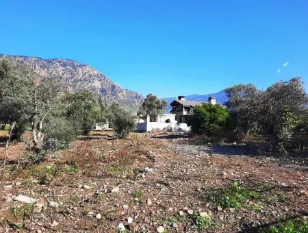 2,000 M2 Kelepir Detached Zoning Land For Sale In Köyceğinz Topars