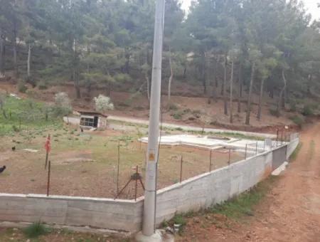 Köyceğinz Agla Yayla Opportunity 1050 M2 Zoning Land For Sale