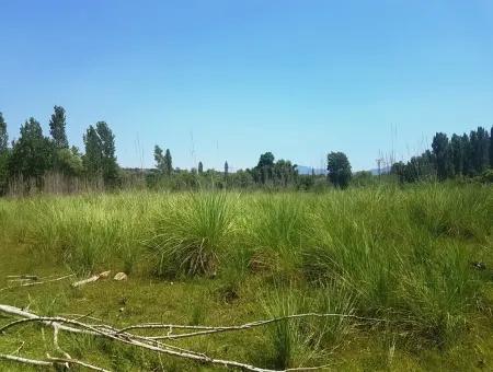 3700 M2 Land For Sale In Koycegiz