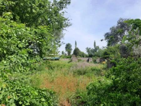 5 300 M2 Land For Sale In Ortaca Okçular Main Road Zero Zoning Plan