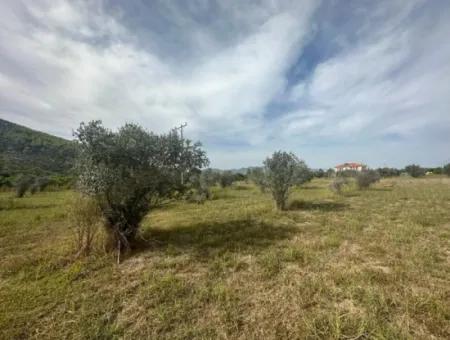 1644 M2, 250 M2 Construction Permit Land For Sale In Ortaca Fevziye