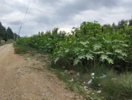 Muğla Ortaca Fevziye 3 Km From The Sea 6 200M2 Field For Sale