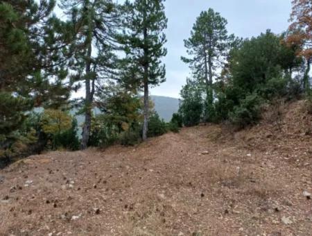 1 900 M2 Detached Bargain Land For Sale In Burdur Gölhisar Yeşildere