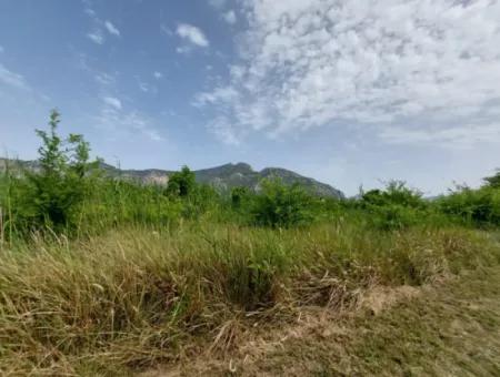 1.500 M2 Detached Field For Sale In Dalyan