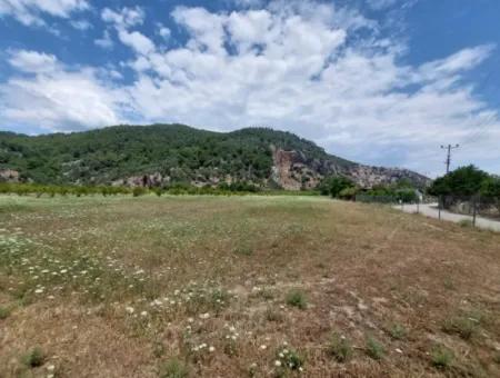 Köyceğiz Çandırda Detached Title Deed 33.800 M2 Field For Sale