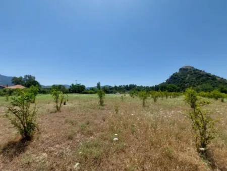 Köyceğiz Çandırda Detached Title Deed 33.800 M2 Field For Sale