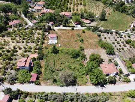 734 M2 2 Parcel Land For Sale In Dalyan Archers