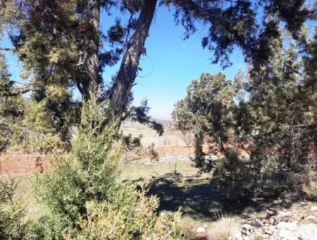 912 M2 Detached Land Suitable For Deposit In Denizli Çameli Belevi For Sale