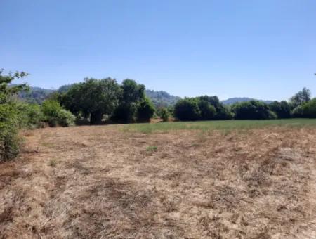 Detached 1876 M2 Bargain Land For Sale In Çameli Cumalanda