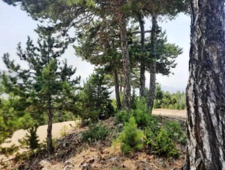 3 Parcels Of Land For Sale In Çameli Gökçeyaka