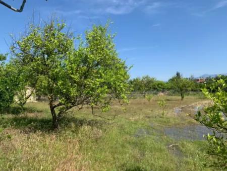 1120 M2 Land For Sale In Ortaca Akıncı