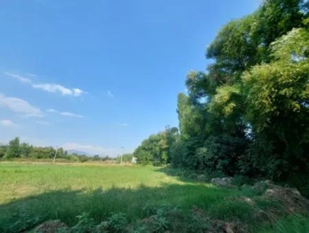 Detached 1 000 M2, 250M2 Bargain Land With Construction Rights For Sale In Köyceğiz Beyobasi