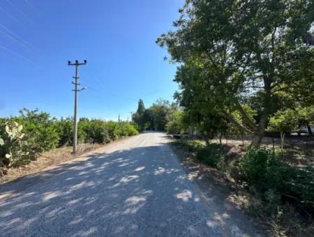 1129 M2 Zoned Land For Sale In Ortaca Dalaklı