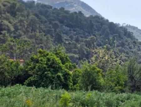 700 M2 Land With Lake View Construction Right In Köyceğiz, Yeşilköy For Emergency Sale