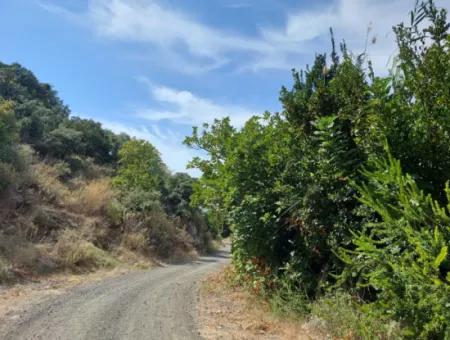 Mountainfront Fertile 1.680 M2 Land For Sale In Dalyan, Muğla