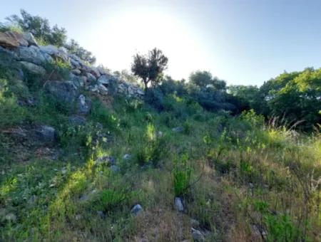 1.000M2 Detached Land With Köyceğiz Lake View For Sale In Dalyan