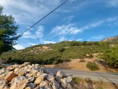 Muğla Fethiye Üzümlü, Nature View, Bargain 788M2 Zoned Land For Sale