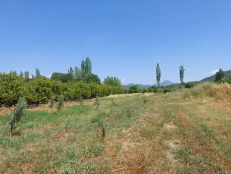 550M2 Share Land For Sale In The Built-Up Area Of The Village In Ortaca Kemaliye