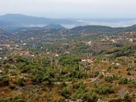 12 300 M2 Land Suitable For Investment For Sale In Antalya Kaş Kalkan Islam