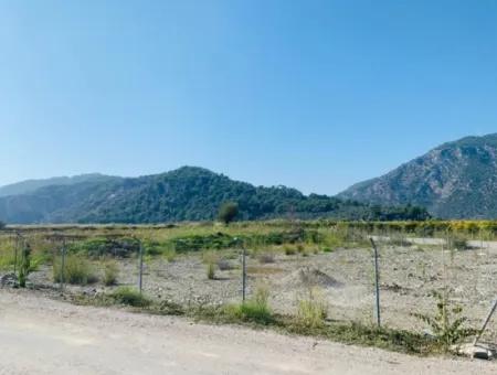 Fields Suitable For Cooperative In Ortaca Güzelyurt Are For Sale