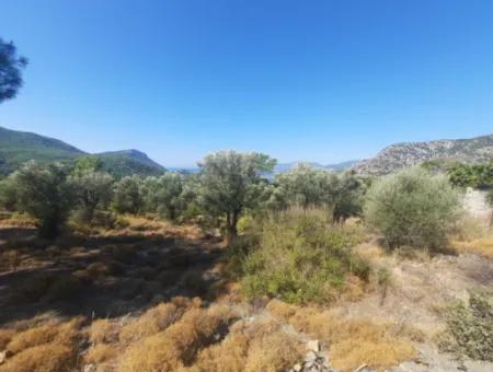 Mugla Gökbelde Lake And Sea View 1000M2 Land For Sale