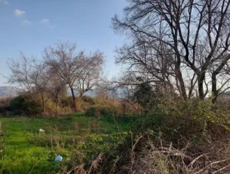 2585 M2 Detached Land Close To The Lake In Köyceğiz Çandırda For Sale