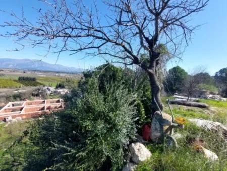 1.000M2 Detached Land With Köyceğiz Lake View For Sale In Dalyan