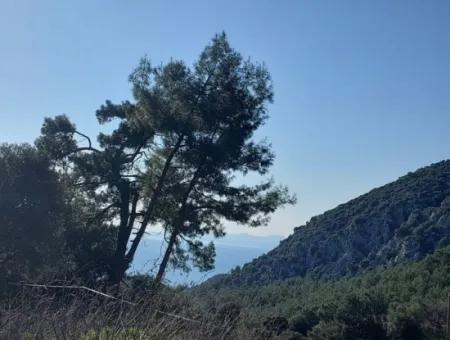 28.350 M2 Land For Sale In Ortaca Gökbelde With Detached Title Deed Sea View