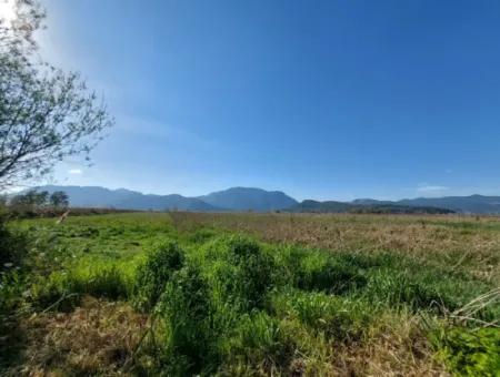 Fertile 6.350 M2 Land For Sale In Muğla Ortaca Güzelyurt