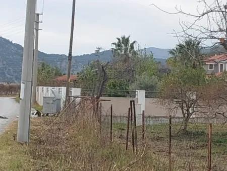 5094 M2, 250 M2 Pomegranate Garden Suitable For Investment With Construction Permit For Sale In Dalyan.