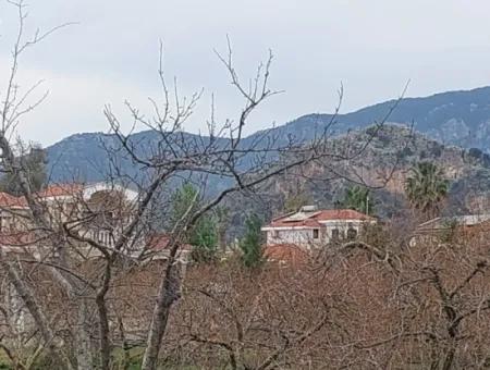 5094 M2, 250 M2 Pomegranate Garden Suitable For Investment With Construction Permit For Sale In Dalyan.