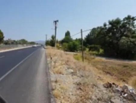 From The Main Road Land For Sale In Koycegiz Zeytinalani Zero