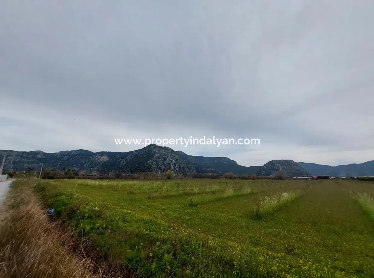 Dalyan'da 5094 M2, 250 M2 İnşaat İzinli Yatırıma Uygun Nar Bahçesi Satılık.